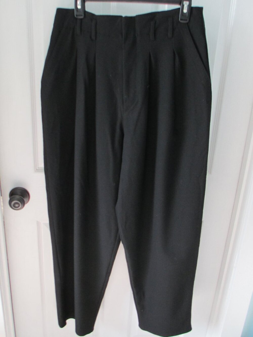 Free People pleated wide leg tapered pants